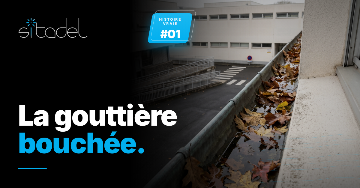 Un jour, une gouttière se bouche...